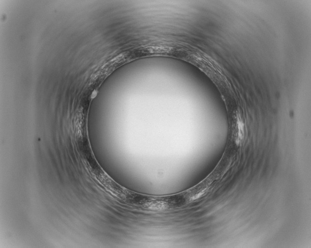 X0000087360604200705111647