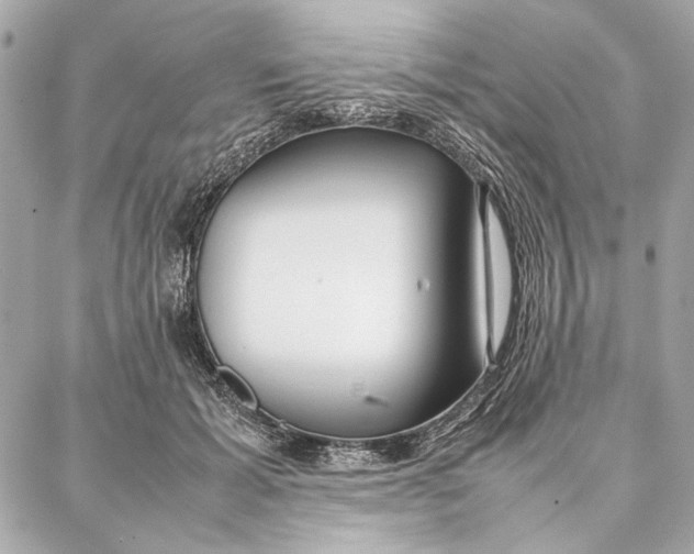 X0000087360605200705111647