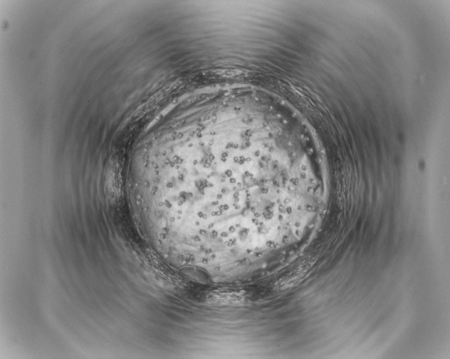 X0000087360606200705111647