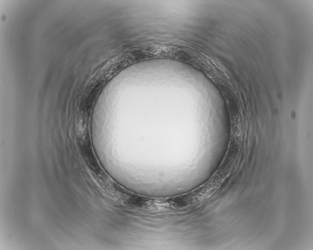 X0000087360607200705111647