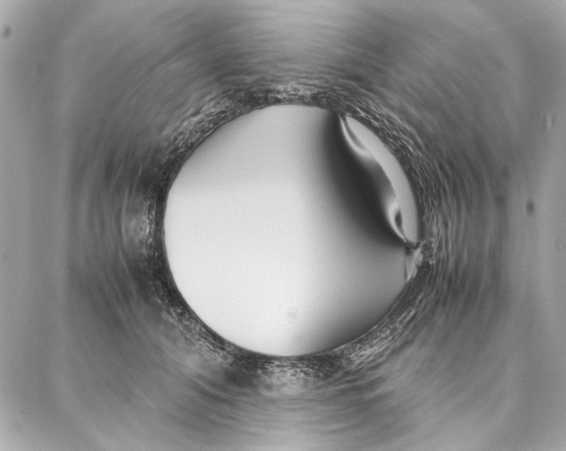 X0000087360608200705111647