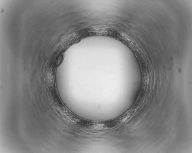 X0000087360609200705111647