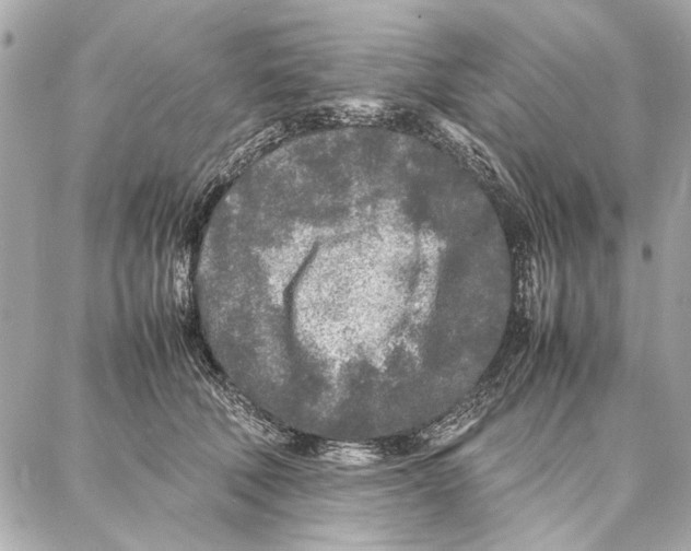 X0000087360610200705111647