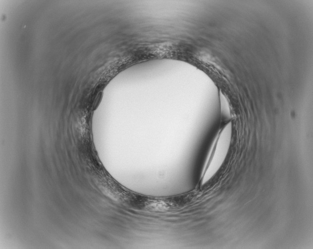 X0000087360611200705111646