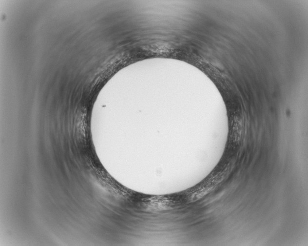 X0000087360612200705111646