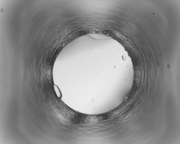 X0000087360613200705111646