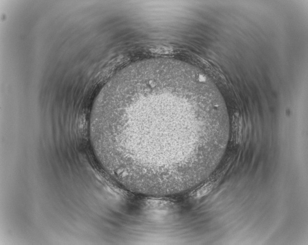 X0000087360614200705111646