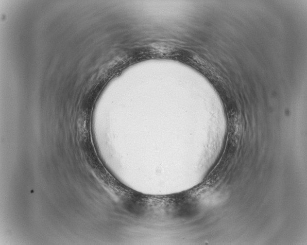 X0000087360615200705111646