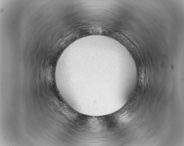 X0000087360616200705111646