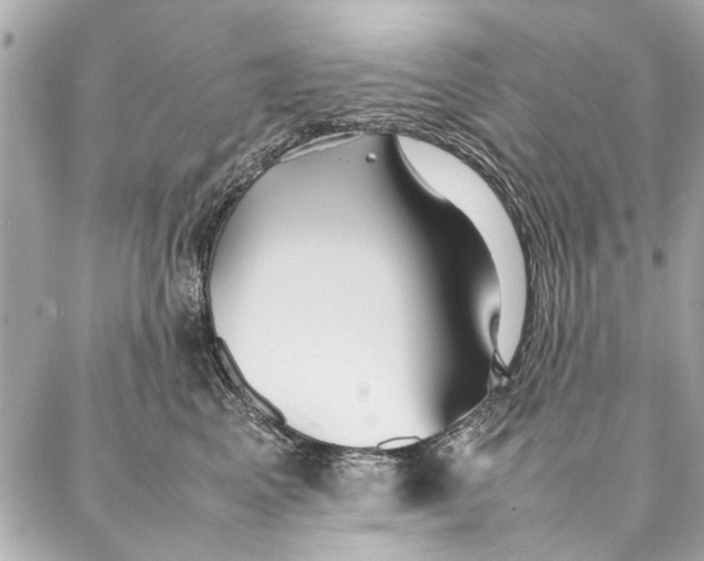 X0000087360617200705111646