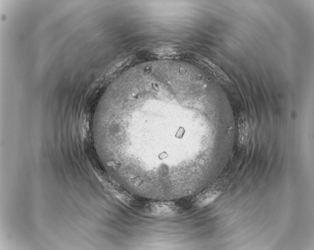 X0000087360618200705111646