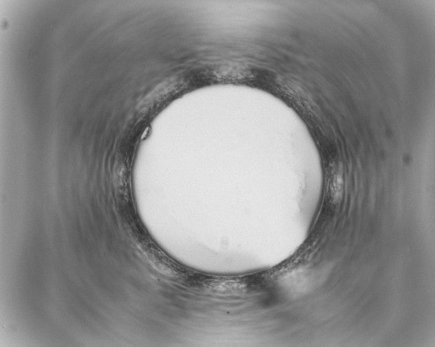 X0000087360619200705111646