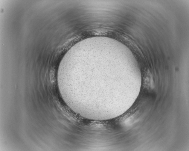 X0000087360620200705111646