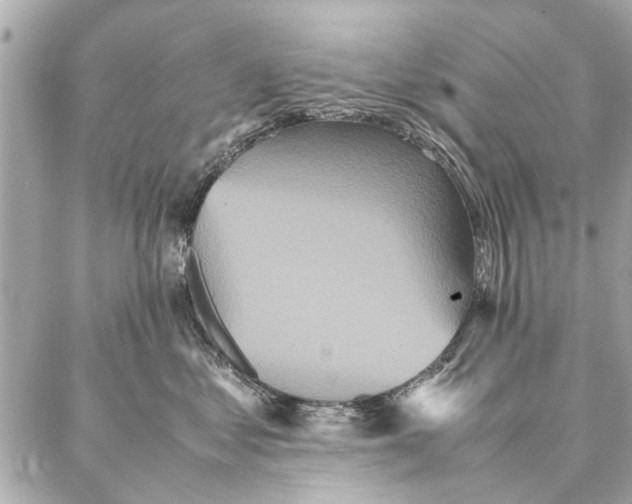 X0000087360621200705111646