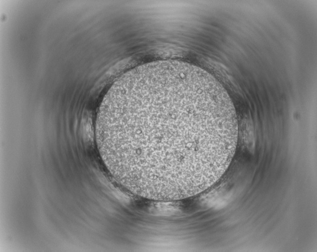 X0000087360622200705111646