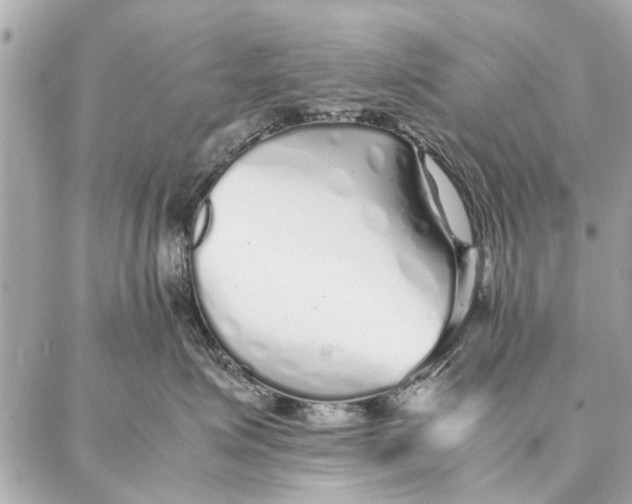 X0000087360623200705111646