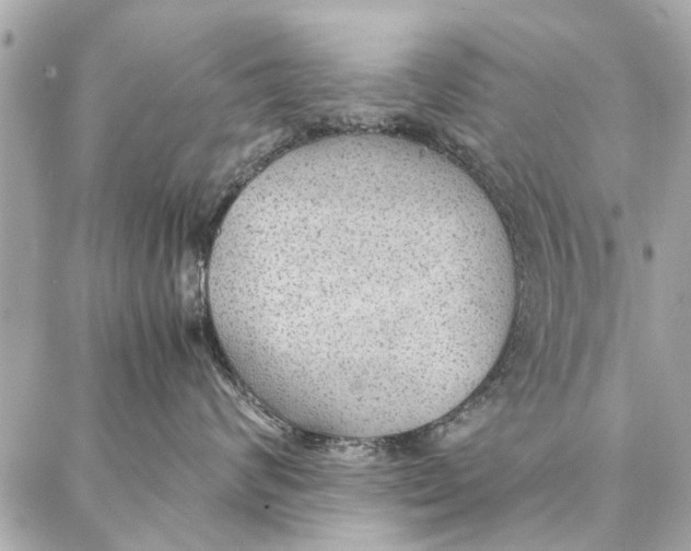 X0000087360624200705111646