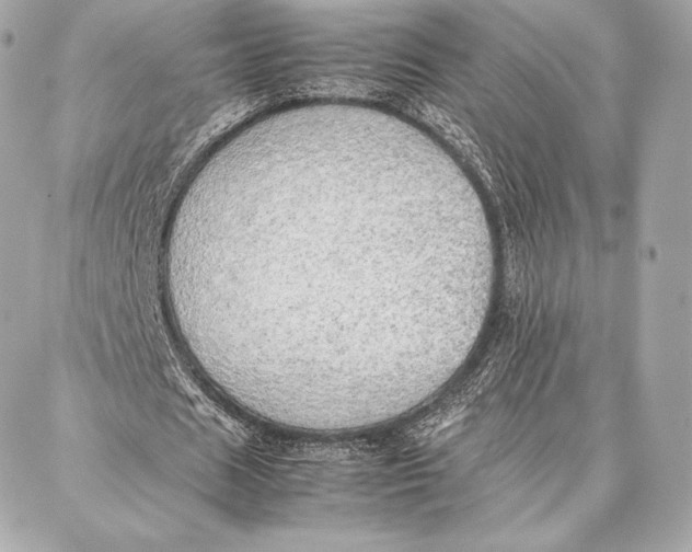 X0000087360625200705111645