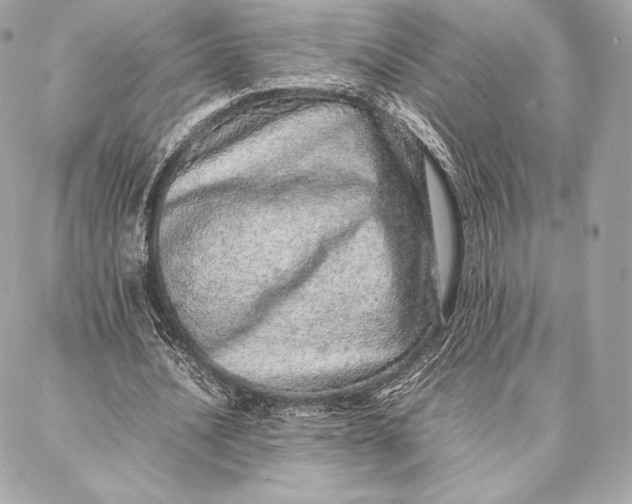 X0000087360628200705111646