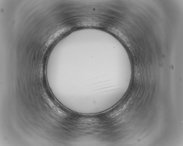 X0000087360629200705111646