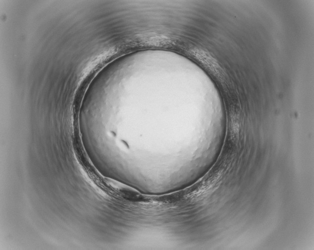 X0000087360630200705111646