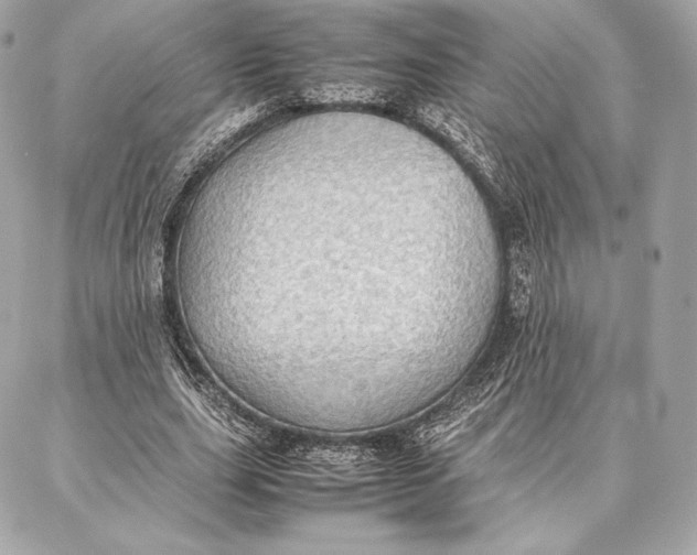 X0000087360631200705111646