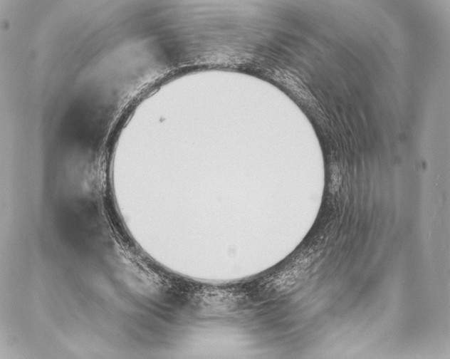 X0000087360632200705111646