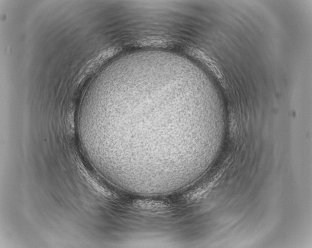 X0000087360633200705111646