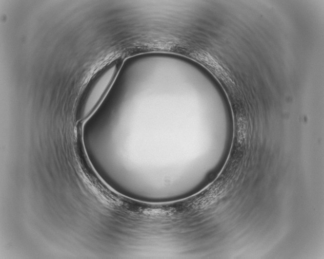 X0000087360634200705111646