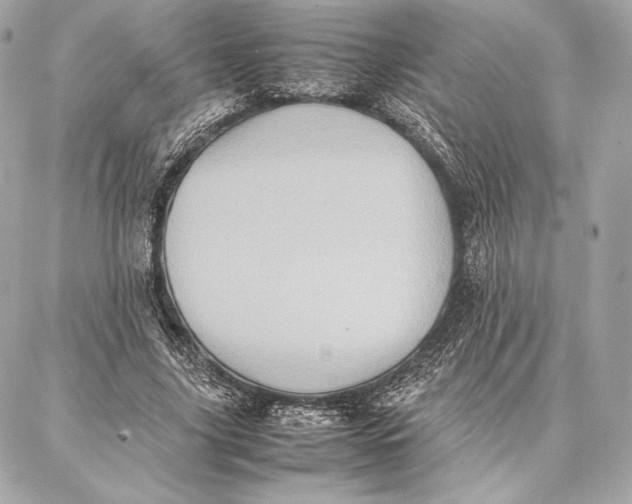 X0000087360635200705111646