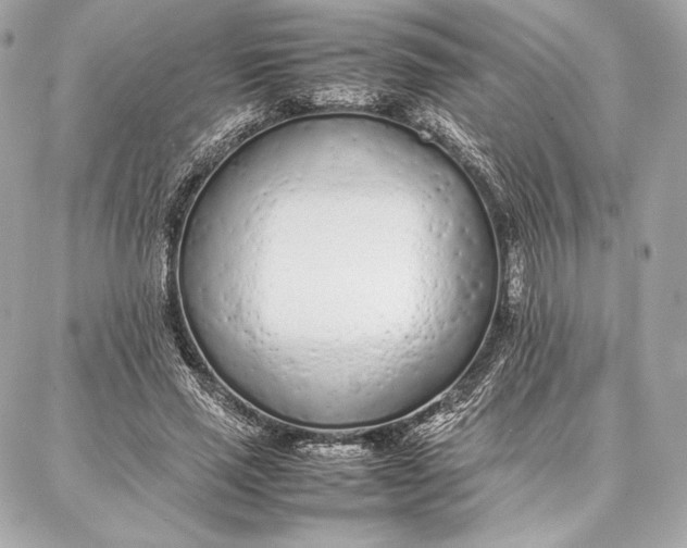 X0000087360637200705111646