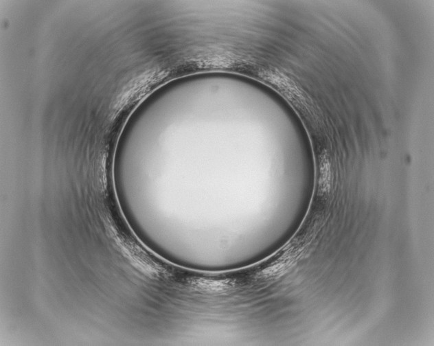 X0000087360638200705111646