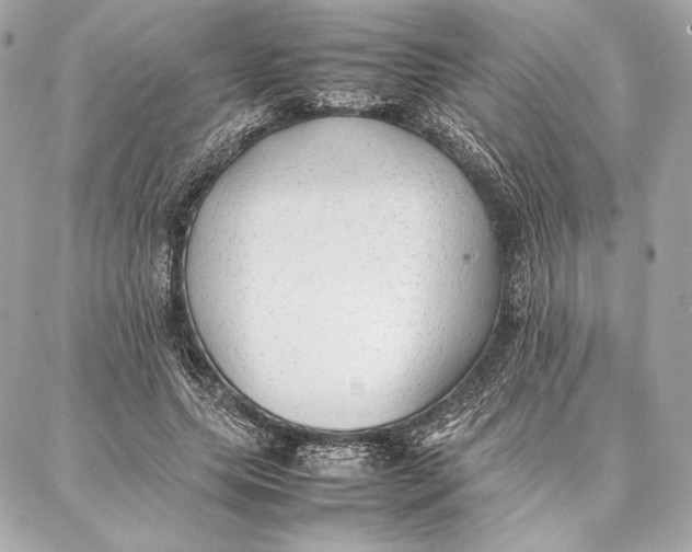 X0000087360639200705111646