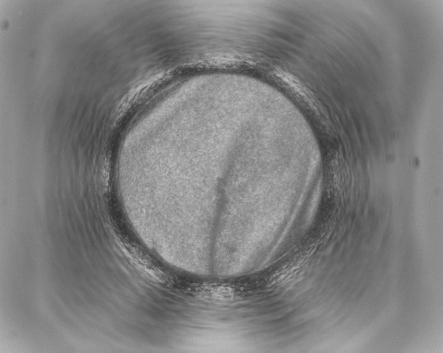 X0000087360640200705111646