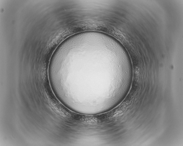 X0000087360642200705111646