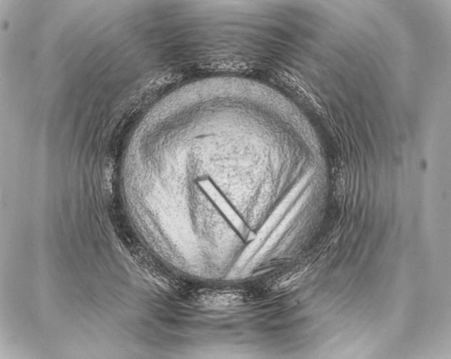 X0000087360643200705111646