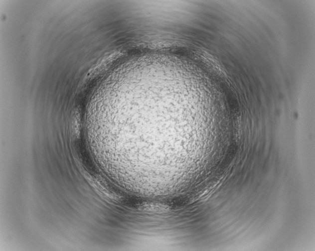 X0000087360644200705111646