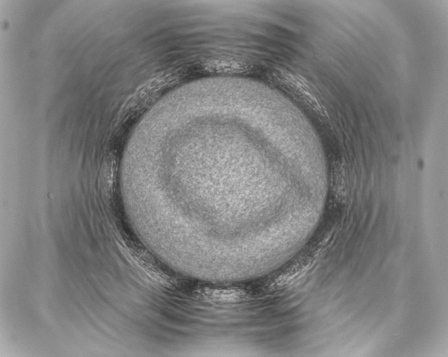 X0000087360645200705111646