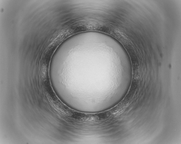 X0000087360646200705111646