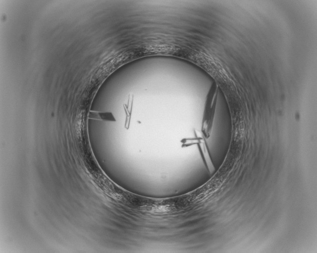 X0000087360647200705111646