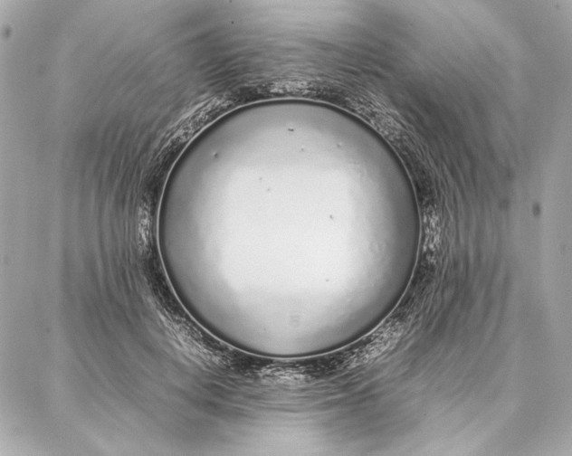 X0000087360648200705111646