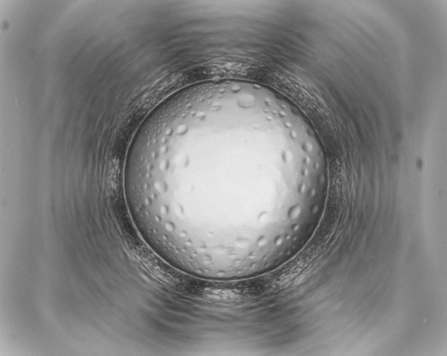 X0000087360649200705111646