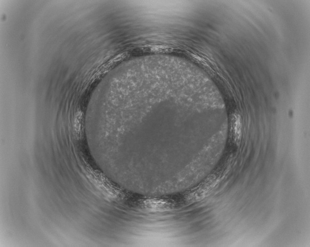 X0000087360650200705111646