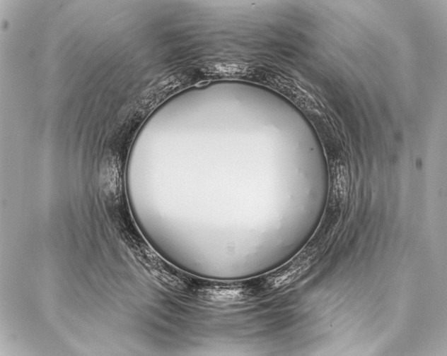 X0000087360651200705111646