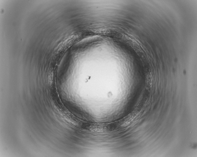 X0000087360652200705111646