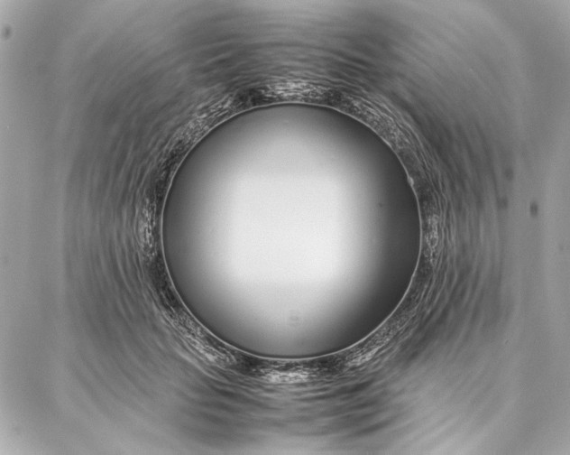 X0000087360653200705111646