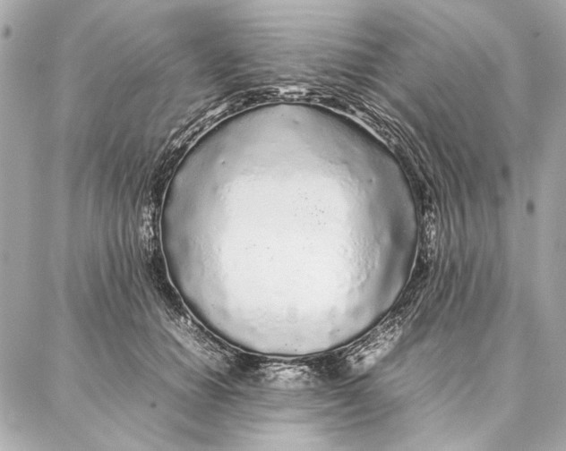 X0000087360654200705111646