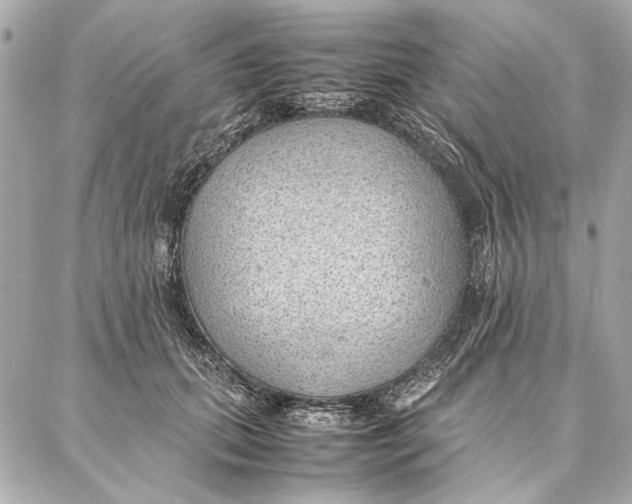 X0000087360655200705111646