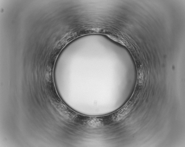 X0000087360656200705111646