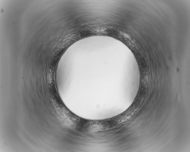 X0000087360658200705111646